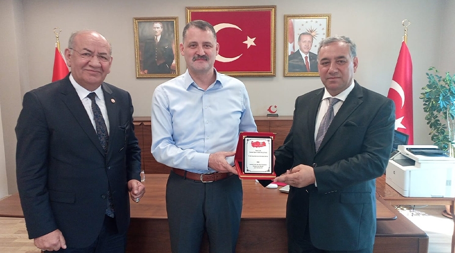 Anadolu Grup Yeni Dünya